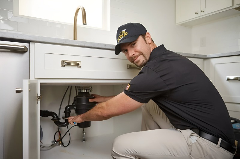 Garbage Disposal repair in Lakewood